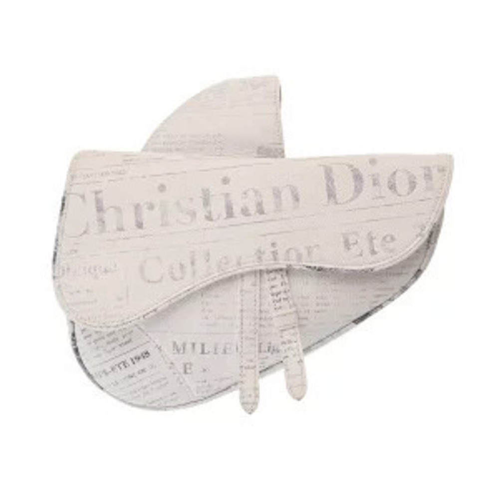 Christian Dior Saddle Bag Daniel Arsham Collaboration Gray Calfskin Body